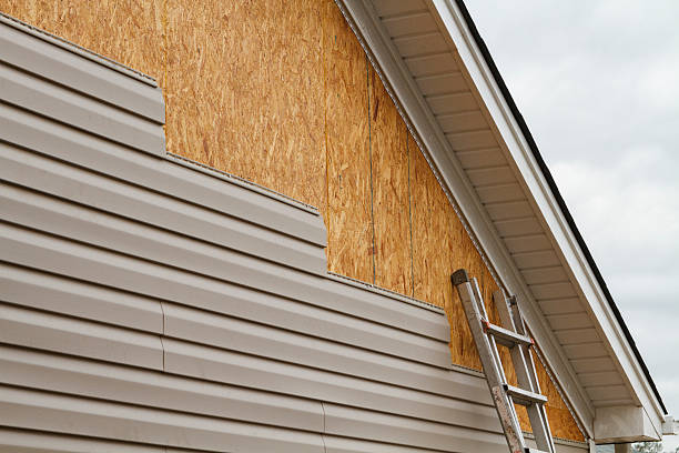Professional Siding Inspection technician working in Nahant, MA